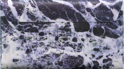 00045531_2
