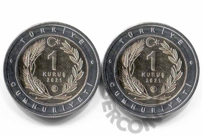 00031666_2 00031666_2