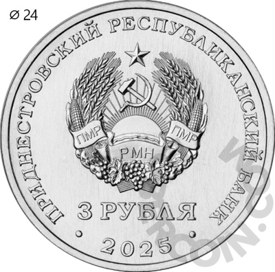 00045305_2