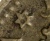 00048790_3 00048790_3