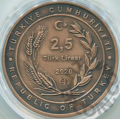 00029795_2 00029795_2