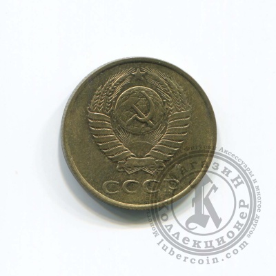 270517137_2 270517137_2